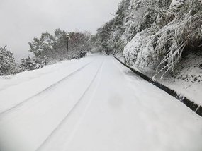 連外道路