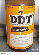 DDT