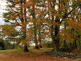 麻州Old Sturbridge Village,MA