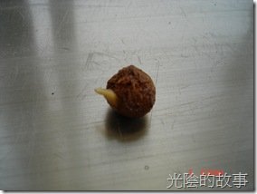 DSC09248