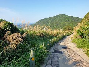 1110726-06馬祖 北竿 芹山 廢棄播音站(25).jpg