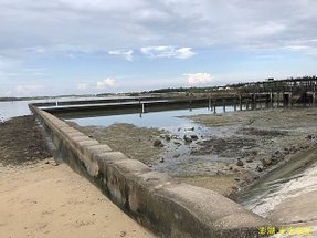 IMG_4734.JPG