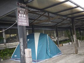 P1030803