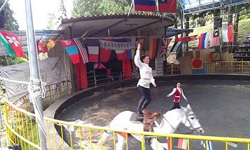 63.jpg