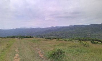 IMAG0946.jpg