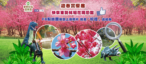 春季旅遊景點