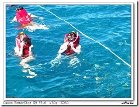 IMG_3614-1