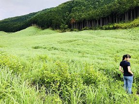 日本鎌倉給箱根_180528_0137.jpg