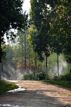862-昆明市-洛龍公園--_.JPG