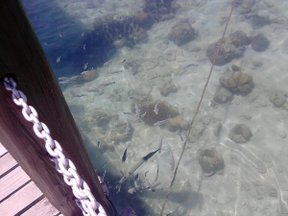 P19-02-10_11.24.jpg
