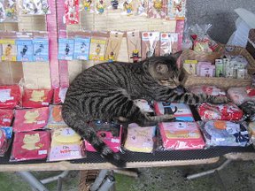 IMG_1726