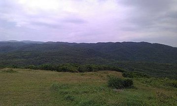 IMAG0942.jpg