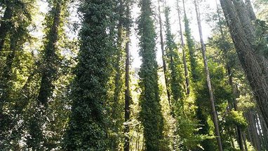 IMAG0249