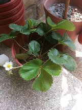 20140415_144020.jpg
