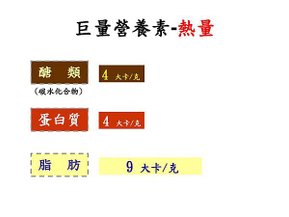 +54+95+9652