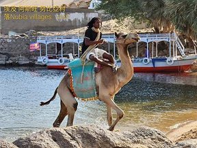 1111008-05埃及 亞斯旺 努比亞村落(306)Nubia villages。地中海區與非洲黑人區的交接處。.jpg