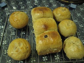 IMG_0114.JPG
