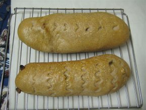 IMG_0023.JPG