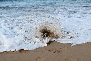 IMG_6562.jpg