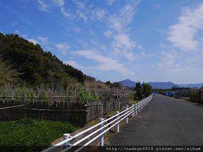 宝当神社-18.JPG