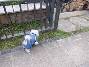 DSCF0164.JPG