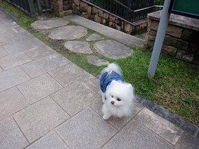 DSCF0165.JPG