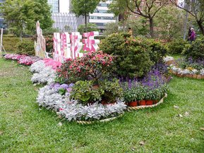 DSCF0174.JPG