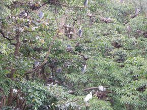 DSCF0196.JPG