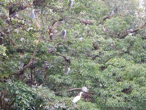 DSCF0195.JPG