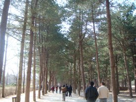 DSC02496.JPG
