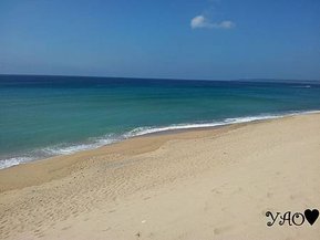 悠閒的夏都早晨