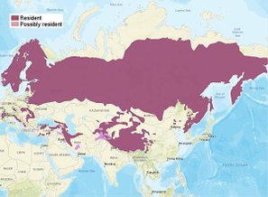 EuropeanLynx_distribution2015.jpg