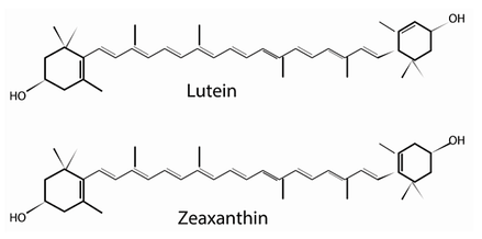 nutrients-05-01823-g002-1024 (1)