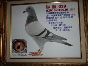 DSC00266
