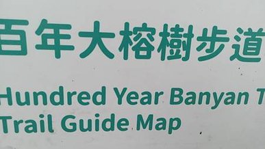 [新北美食]攻頂眺望鶯桃微笑山線、吃一碗百年大榕樹豆花，來一