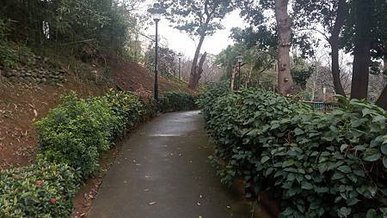 [新北旅遊]高人氣永吉公園，從荒廢山坡地到玩樂極致的鶯歌區特