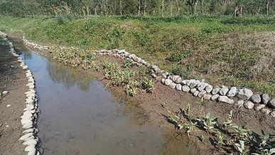 [新北旅遊]冬天賞落羽松、夏天看紫薇花，貢寮區環保公園帶你深