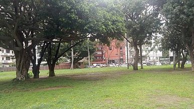 [新竹旅遊]新竹人辦活動的首選場地北大公園，綠色草皮為地形、