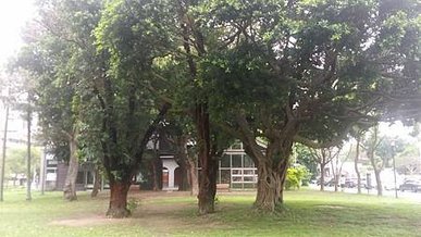 [新竹旅遊]新竹人辦活動的首選場地北大公園，綠色草皮為地形、