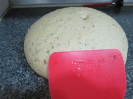 990305照片 131.jpg