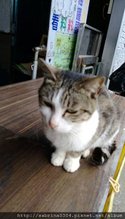 猴洞_170305_0017.jpg