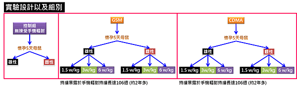 手機輻射-實驗設計組.png