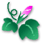 花 (6).gif