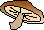 siitake.gif
