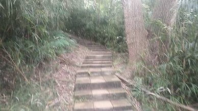 [新竹旅遊]城市知名旅遊地點的高峰植物園，有三百多種植物種類