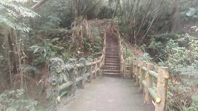 [新竹旅遊]城市知名旅遊地點的高峰植物園，有三百多種植物種類