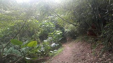 [新竹旅遊]城市知名旅遊地點的高峰植物園，有三百多種植物種類