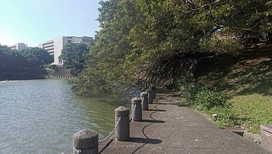 [新竹旅遊]台灣傳統四大名校之一國立陽明交通大學，校園竹湖水