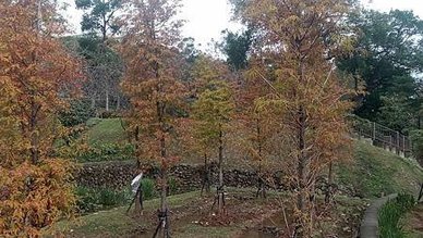 [新北旅遊]高人氣永吉公園，從荒廢山坡地到玩樂極致的鶯歌區特