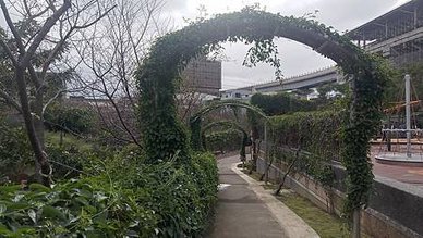 [新北旅遊]高人氣永吉公園，從荒廢山坡地到玩樂極致的鶯歌區特